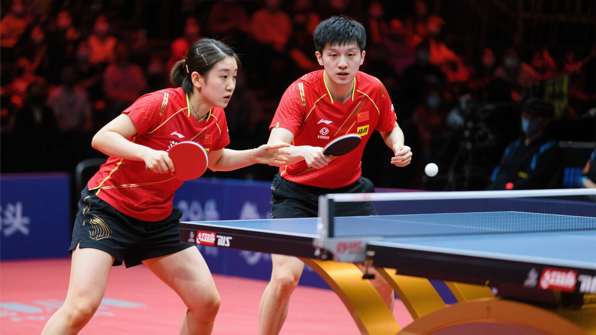 的因素中 的因素中