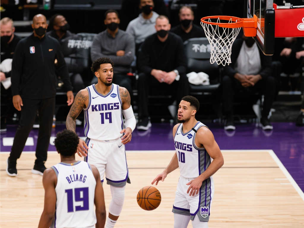 在过去的几 在过去的几