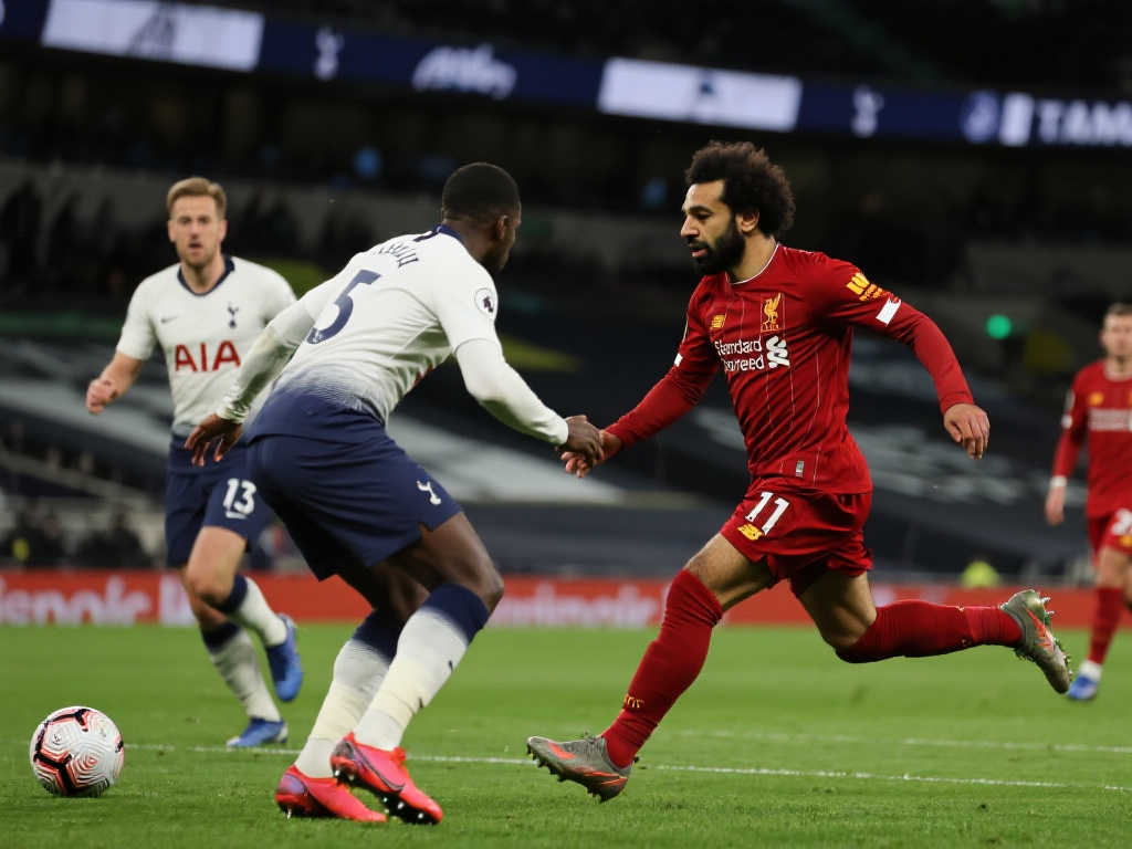 根据青体部 根据青体部